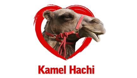 Kamel Hachi